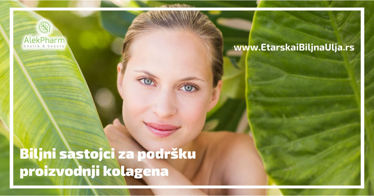 Biljni sastojci za podršku proizvodnji kolagena